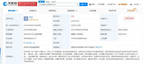 四川路橋比亞迪合資礦業公司注銷 跨界合作落幕，互聯網銷售模式下的礦業轉型反思